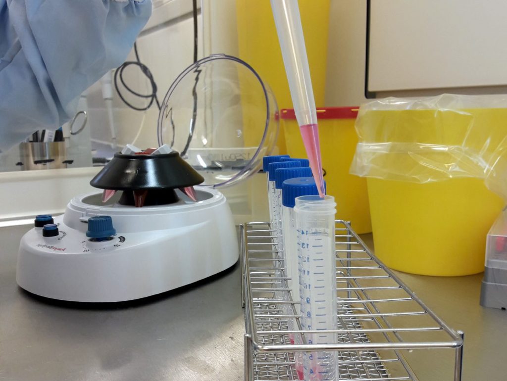 Wissenschaftlerin in der Krebsforschung